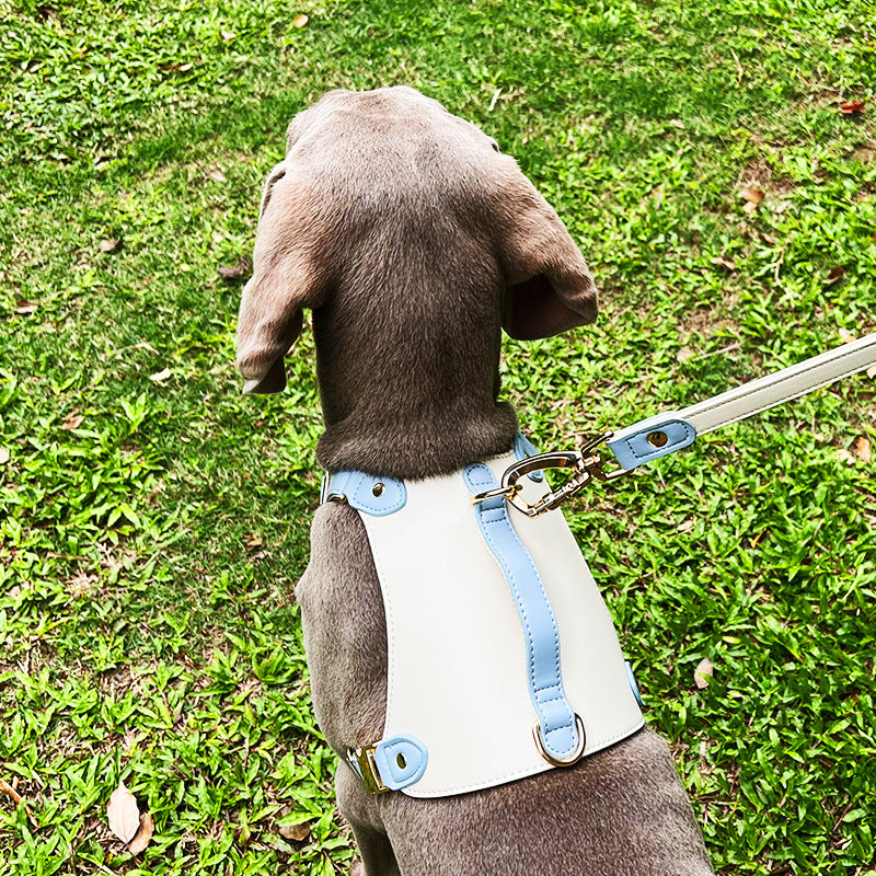 Regal Rover Harness & Leashes