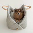 Load image into Gallery viewer, JetSet Pet Tote
